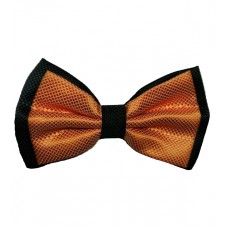 Бабочка черно-оранжевая Бабочка черно-оранжевая