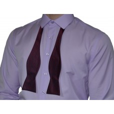 Галстук-бабочка хамелеон